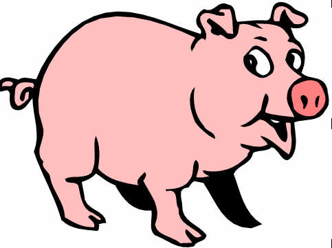 Pig icon